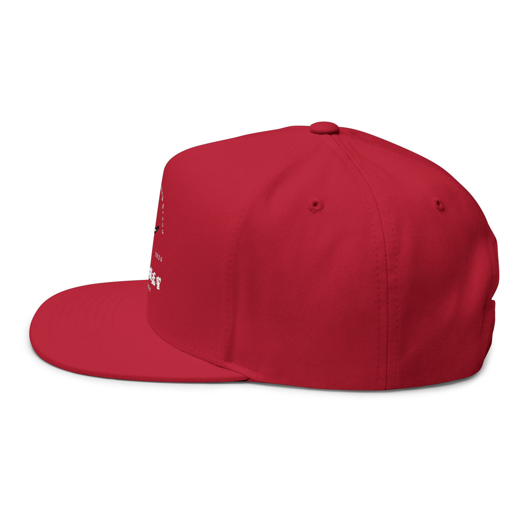 Whiskey River Embroidered Flat Bill Cap — Western Longhorn Logo Snapback