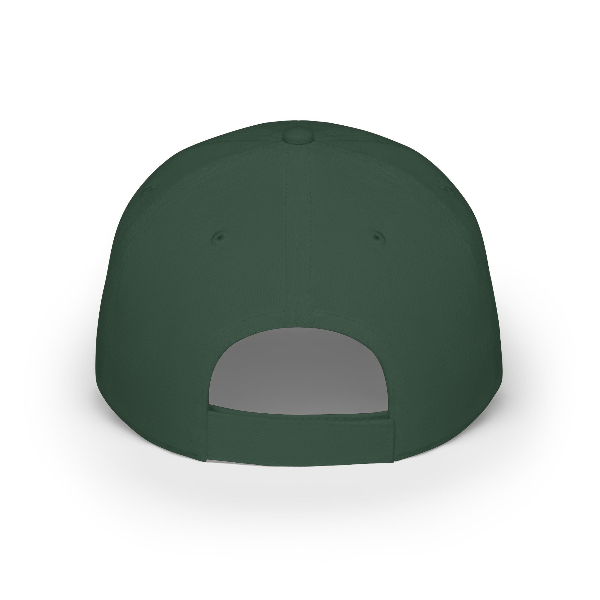 Whiskey River Co. Low Profile Baseball Cap – Distressed Longhorn Logo